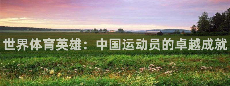 蓝鲸体育红米石头：世界体育英雄：中国运动员的卓越成就