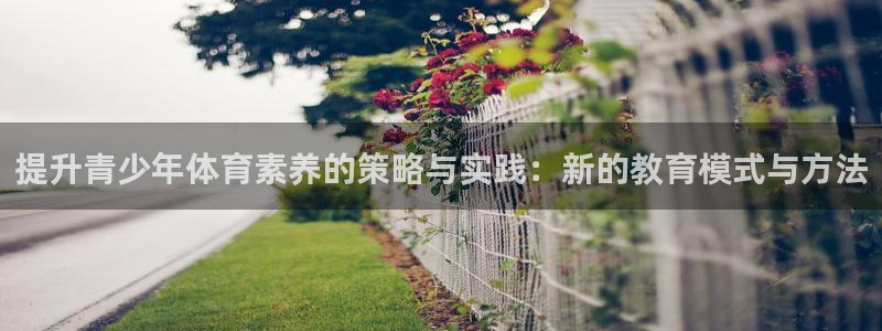 蓝鲸体育nba直播官网：提升青少年体育素养的策略与实践：新的教育模式与方法