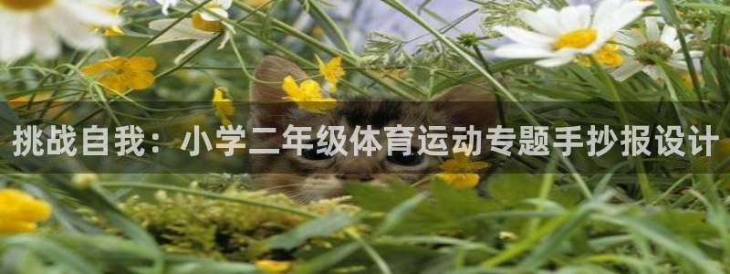 蓝鲸体育平台：挑战自我：小学二年级体育运动专题手抄报设计