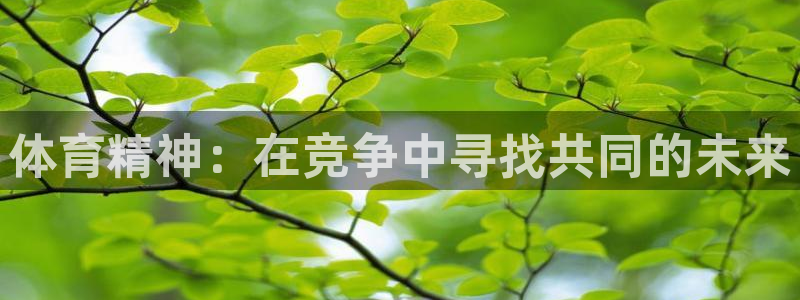 蓝鲸体育免费观看比赛：体育精神：在竞争中寻找共同的未来