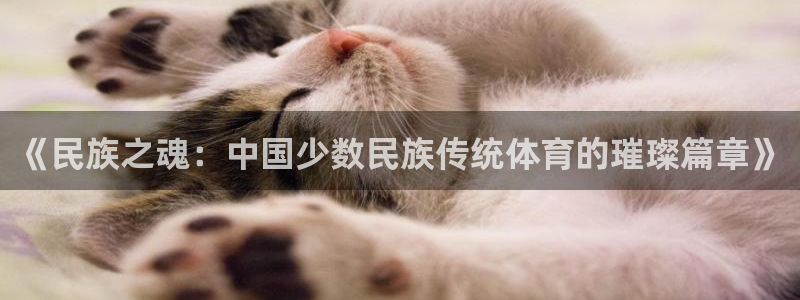 蓝鲸体育app官方入口：《民族之魂：中国少数民族传统体育的璀璨篇章》