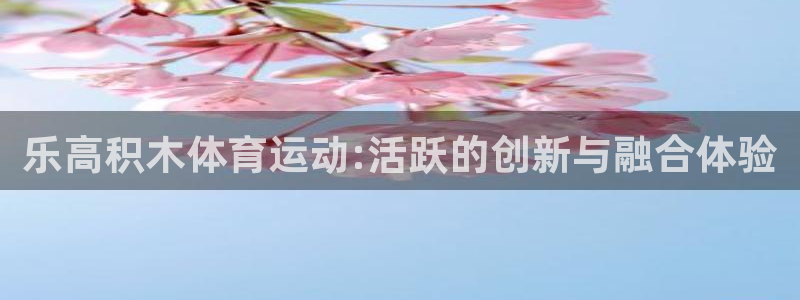 蓝鲸体育app安卓版：乐高积木体育运动:活跃的创新与融合体验