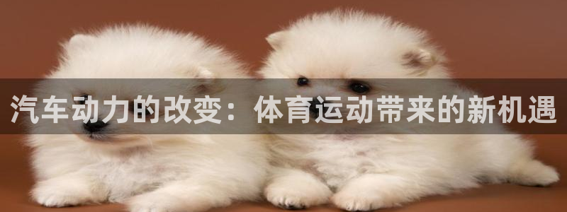 蓝鲸体育还有吗：汽车动力的改变：体育运动带来的新机遇